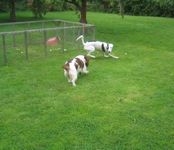 click for a larger view